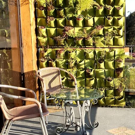 Preciosa Cabana En Fraijanes エクステリア 写真
